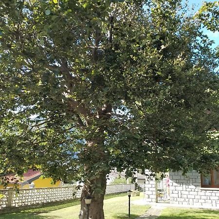 Beura Il Faggio Bed & Breakfast エクステリア 写真