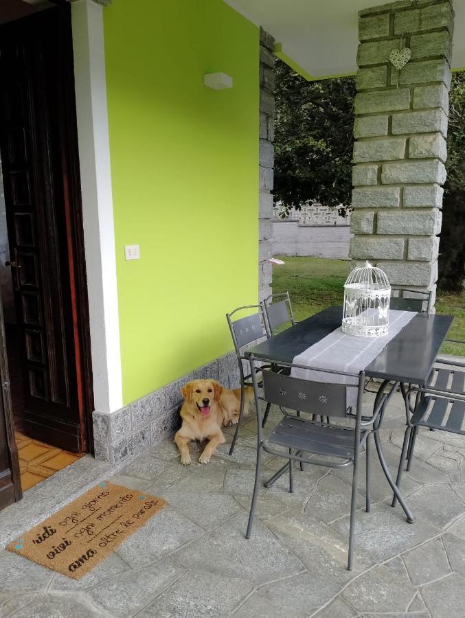 Beura Il Faggio Bed & Breakfast エクステリア 写真